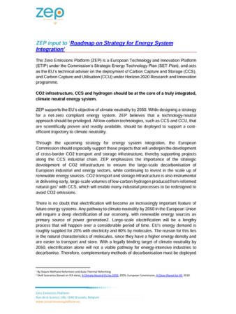 Response to the Roadmap on Strategy for Energy System Integration