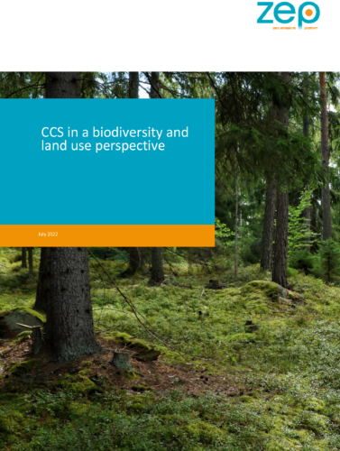 Carbon capture and storage in a biodiversity and land use perspective