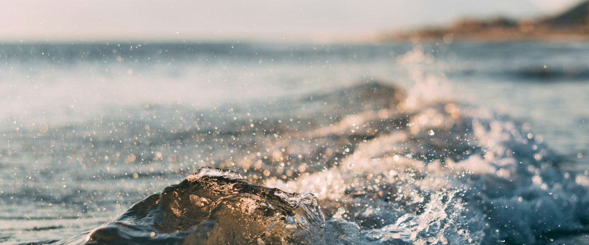 Answering key questions on ZEP’s transition Carbon Management Europe